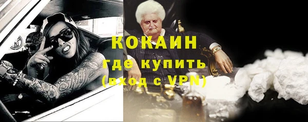 винт Дмитриев