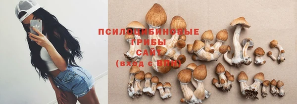 мяу мяу кристалл Дмитров