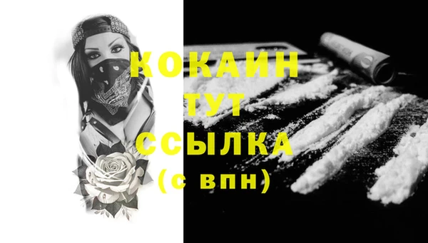 винт Дмитриев