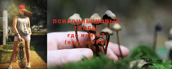 мяу мяу кристалл Дмитров