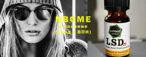 прущие грибы Ельня