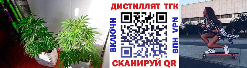 Купить Карачаевск Дистиллят ТГК Wax