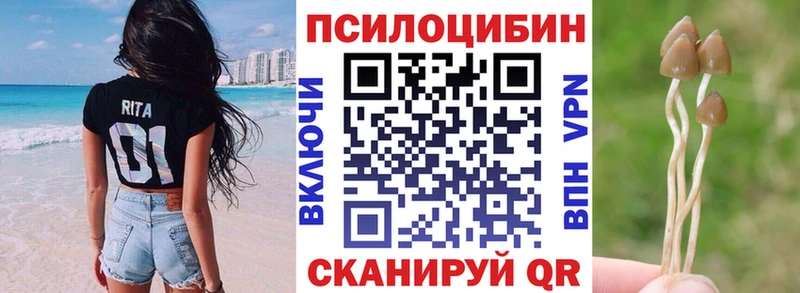 Купить закладки  Карачаевск  Галлюциногенные грибы мухоморы 